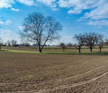 Terreno para construção