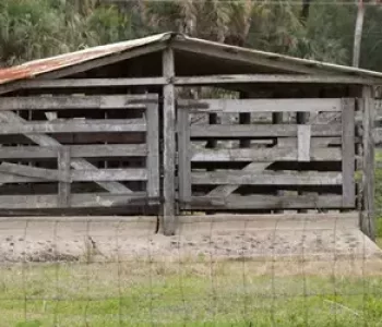 Modelo de Galpão - Madeira